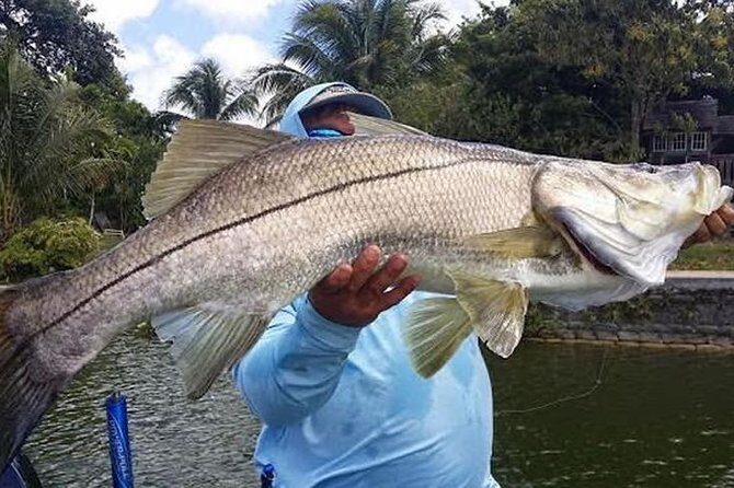 Homosassa Inshore Fishing Charters - Authentic Stories & Traveler Insights