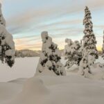Hønefoss: 2-Day Moose Safari in Oslo's Wilderness - FAQs