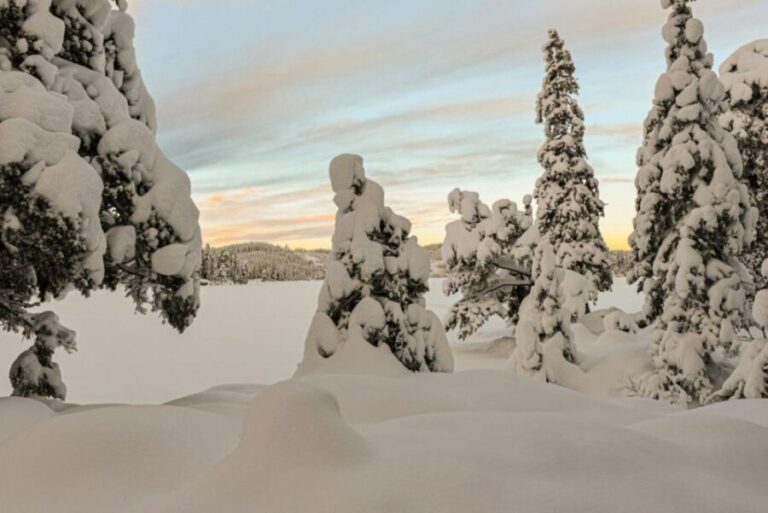 Hønefoss: 2-Day Moose Safari in Oslo's Wilderness - FAQs