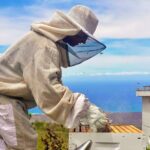 Honey Bee Adventure at the Maui Honey Bee Sanctuary - FAQ