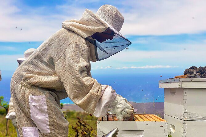 Honey Bee Adventure at the Maui Honey Bee Sanctuary - FAQ