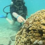 Honolulu: Beginner Scuba Diving Tour With Free Videos - Exploring the Details of This Hawaiian Underwater Adventure