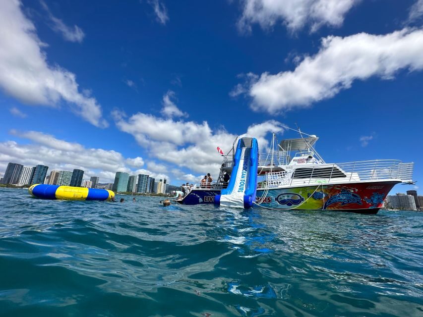 Honolulu: Deluxe Waikiki Snorkel and Wildlife Cruise