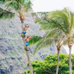 Honolulu: Ka Moana Luau Dinner and Show with Transportation - Who Will Love This Experience?