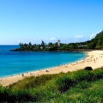 Honolulu: Oahu Island Highlights Tour with Multiple Stops - A Deep Dive Into the Oahu Highlights Tour