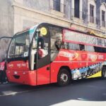 Hop on hop off Catania-Acicastello-Acitrezza panoramic bus - Who Would Love This Tour?