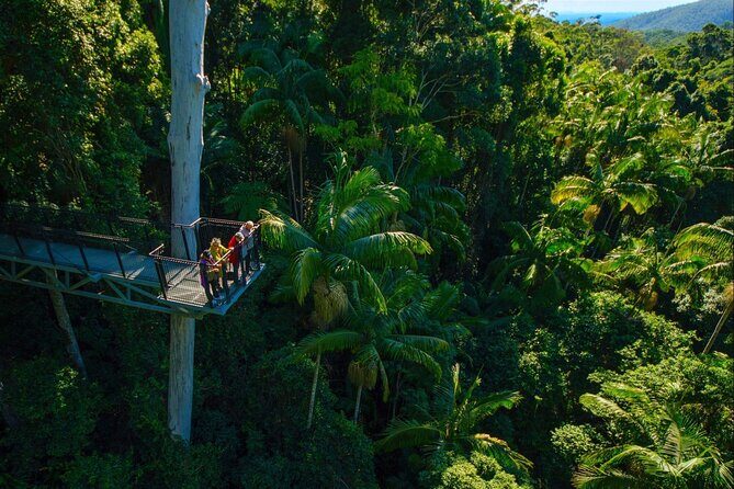 Hop on Hop off - Tamborine Rainforest Skywalk + Glow Worm Caves - Final Thoughts: Is This Tour Right for You?