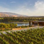 Hop on Hop off Wine Tours Bannockburn - departing Queenstown - The Sum Up: Who Will Love This Tour?