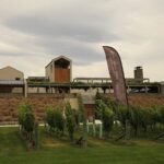 Hop on Hop off Wine Tours Marlborough - Final Thoughts: Who Should Book This Tour?