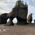 Hopewell Cape: Hopewell Rocks Admission - Final Thoughts: Who Should Visit Hopewell Rocks?