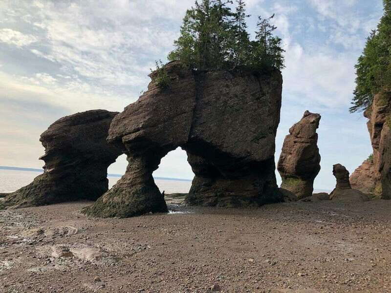 Hopewell Cape: Hopewell Rocks Admission - Final Thoughts: Who Should Visit Hopewell Rocks?