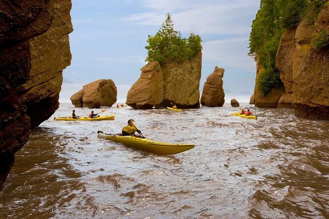 Hopewell Rocks Admission - Exploring Hopewell Rocks: An In-Depth Review