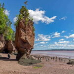Hopewell Rocks and Fundy National Park Private Tour - A Deep Dive into the Experience