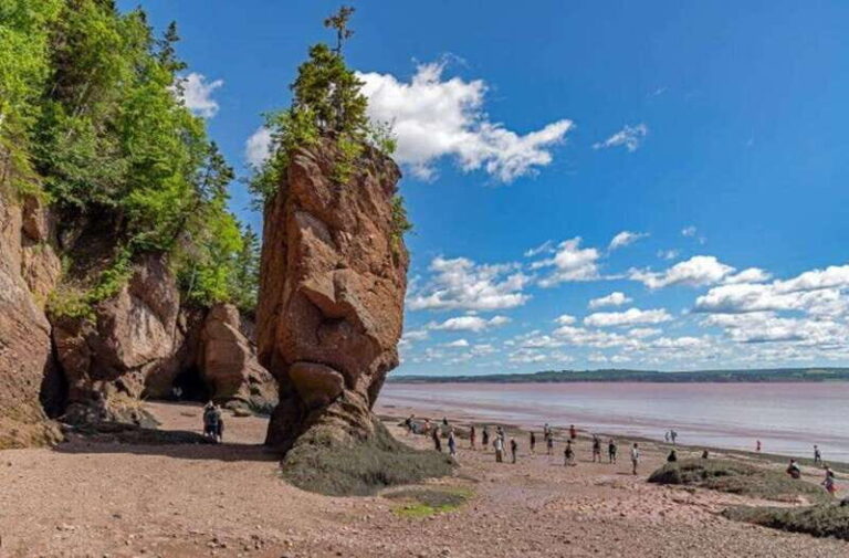Hopewell Rocks and Fundy National Park Private Tour - A Deep Dive into the Experience