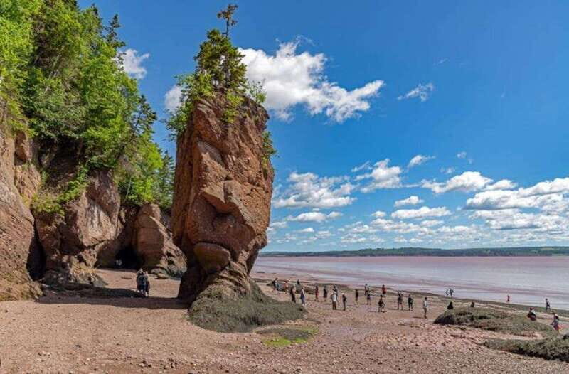 Hopewell Rocks and Fundy National Park Private Tour - A Deep Dive into the Experience