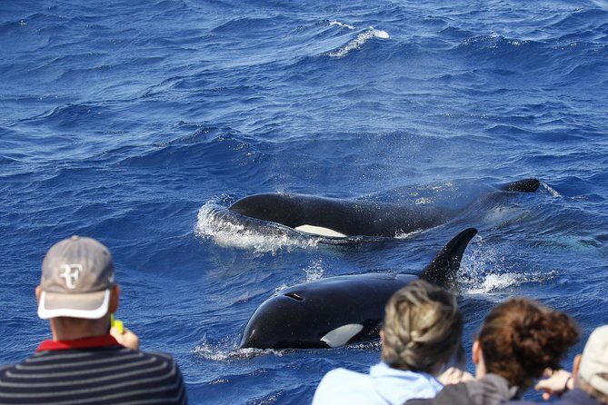Horizontal Falls & Dampier Peninsula Discovery Tour - Who Would Love This Tour?