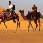 Horse, Camel, and Donkey Riding Experience at the Farm in the Antalya Region - Final Thoughts: Who Will Love This Tour?