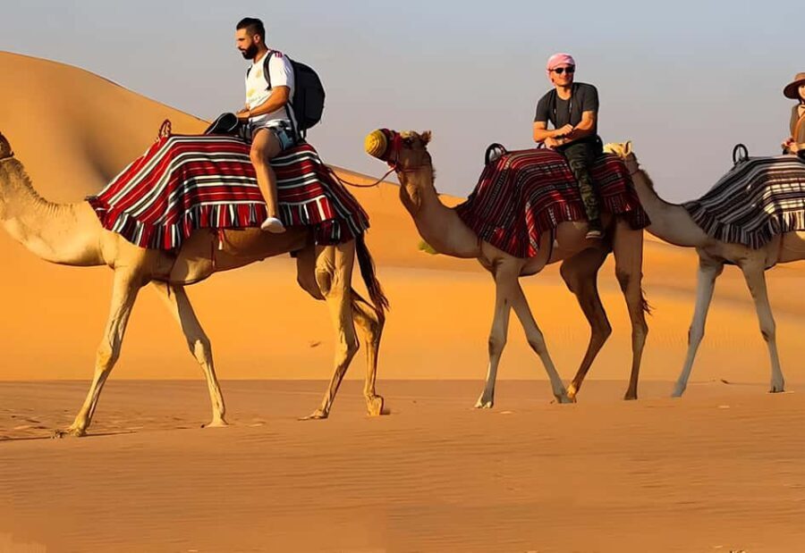 Horse, Camel, and Donkey Riding Experience at the Farm in the Antalya Region - Final Thoughts: Who Will Love This Tour?