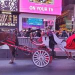 Horse Carriage Ride at Rockefeller Center & Times Square - What to Expect and Practical Tips