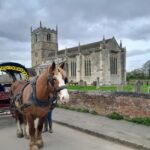 Horse drawn carriage ride and Picnic Hamper - An In-Depth Look at the Experience