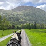 Horse-Drawn Carriage Tours in Killarney - The Sum Up