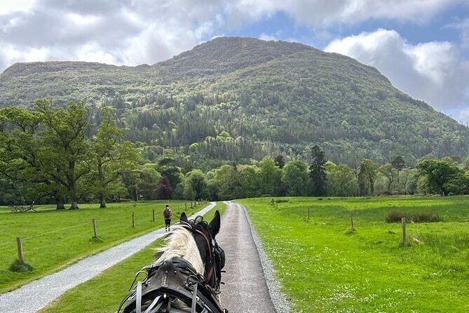 Horse-Drawn Carriage Tours in Killarney - The Sum Up