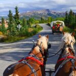 Horse-Drawn Covered Wagon Ride with Backcountry Dining - Final Thoughts: Is It Worth It?