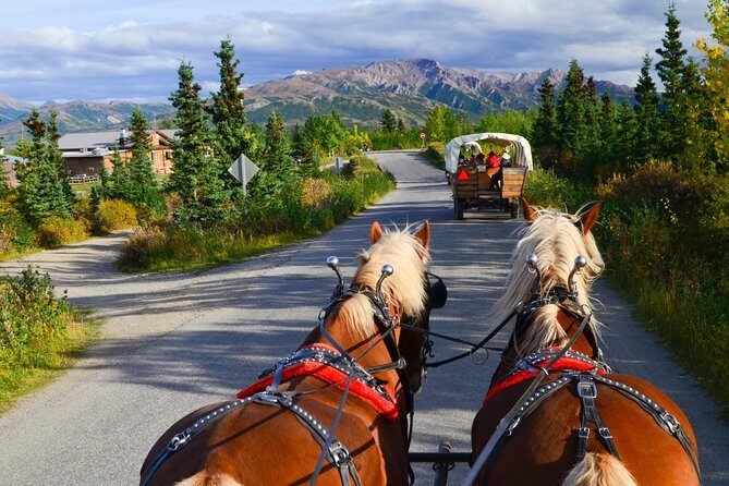 Horse-Drawn Covered Wagon Ride with Backcountry Dining - Final Thoughts: Is It Worth It?