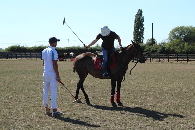Horse & Polo in Windsor, UK - FAQs