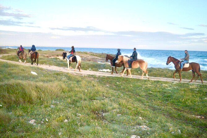 Horse ride in a Salento Nature Reserve with transfer from Lecce - Final Thoughts