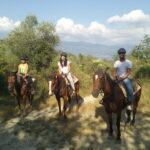 Horse ride, Olive Oil and local foods tasting in a Tuscan farm - The Sum Up