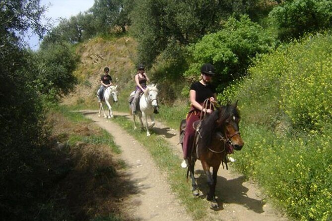 HORSE RIDING 1.5 hours mountains from area Hersonissos CRETE - Who Will Enjoy This Tour?
