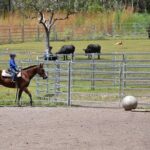 Horse Riding Adventure in the Outback - Who Is This Tour Best For?