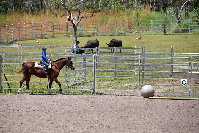 Horse Riding Adventure in the Outback - Who Is This Tour Best For?