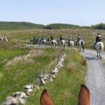 Horse riding - Burren Trail. Lisdoonvarna, Co Clare. Guided. 3 hours. - Who Should Consider This Tour?
