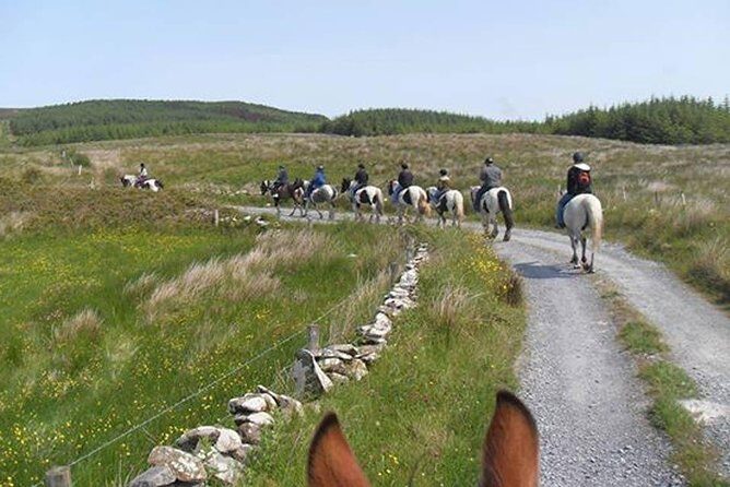 Horse riding - Burren Trail. Lisdoonvarna, Co Clare. Guided. 3 hours. - Who Should Consider This Tour?