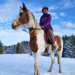 Horse Riding Day Trip in the Rila Mountain - Exploring Bulgaria’s Horseback Adventure in the Rila Mountains