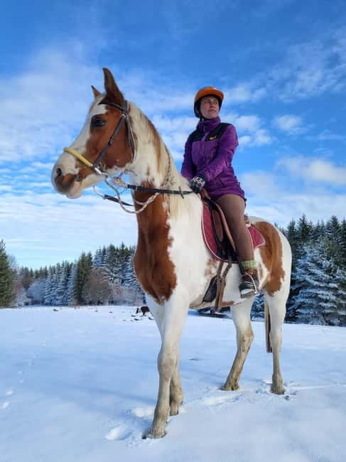Horse Riding Day Trip in the Rila Mountain - Exploring Bulgaria’s Horseback Adventure in the Rila Mountains