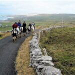 Horse riding - Dirt Trek Trail. Lisdoonvarna, Clare. Guided. 1 hour. - What to Expect on the Tour