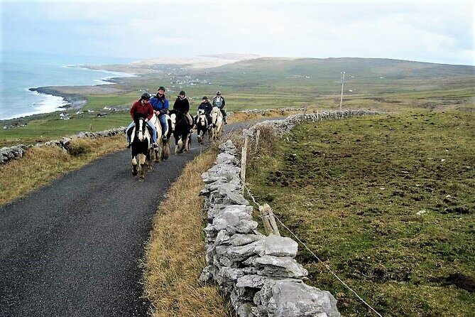 Horse riding - Dirt Trek Trail. Lisdoonvarna, Clare. Guided. 1 hour. - What to Expect on the Tour