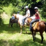 Horse riding excursion - Who Should Consider This Tour?
