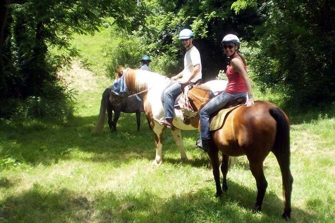Horse riding excursion - Who Should Consider This Tour?