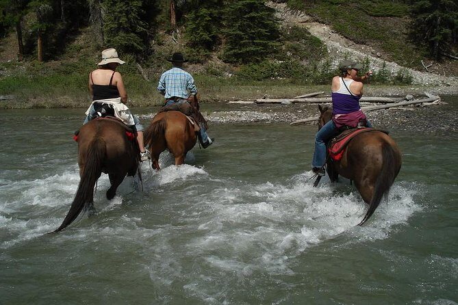 Horse Riding Experience in Marmaris with Transfer - Authentic Feedback from Guests