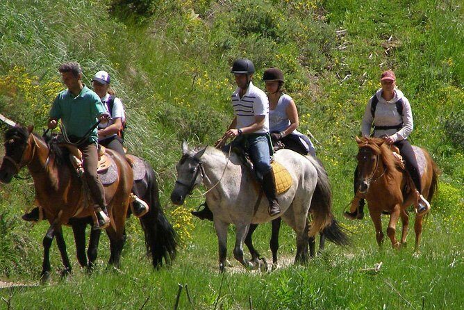 Horse Riding From Kusadasi Port / Hotels - Authentic Experiences and Authenticity