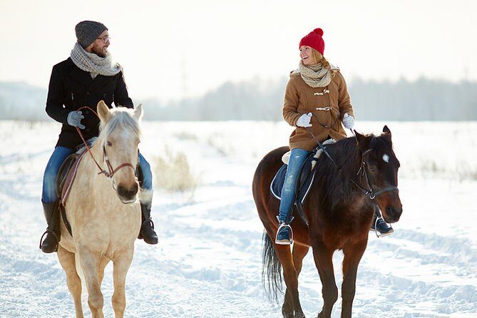 Horse Riding in Bled - Authentic Experiences and Honest Feedback