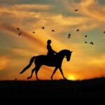 Horse Riding in Cappadocia - Authenticity and Value