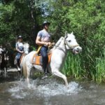 Horse Riding in Fethiye - Authentic Experiences and Honest Feedback