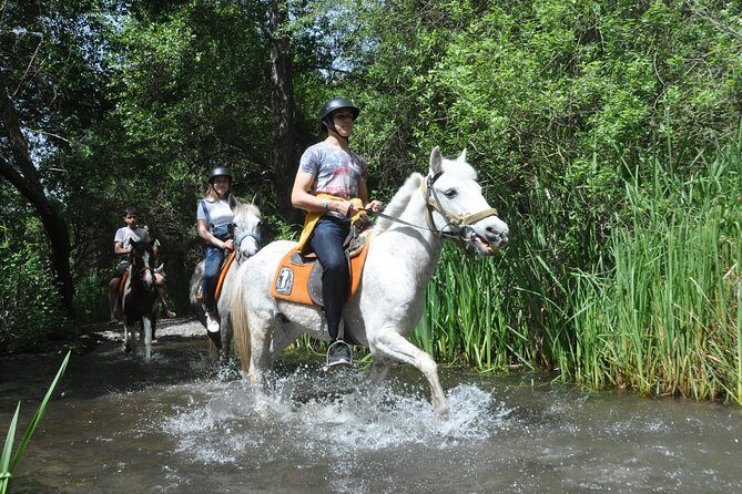 Horse Riding in Fethiye - Authentic Experiences and Honest Feedback
