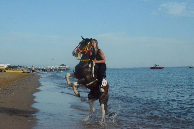 Horse Riding in Manavgat Side Forest and Beach - Exploring the Details of the Horseback Riding Tour