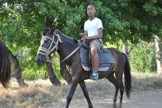 Horse Riding in Marmaris & Icmeler - Final Thoughts: Is It Worth It?
